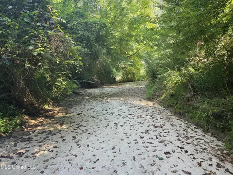 Tate Road, Natchez, MS 39120 photo 4
