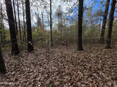 Tate Road, Natchez, MS 39120 photo 61