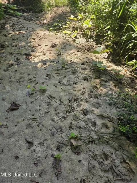 Tate Road, Natchez, MS 39120 photo 17