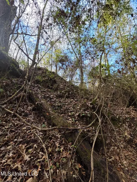Tate Road, Natchez, MS 39120 photo 52