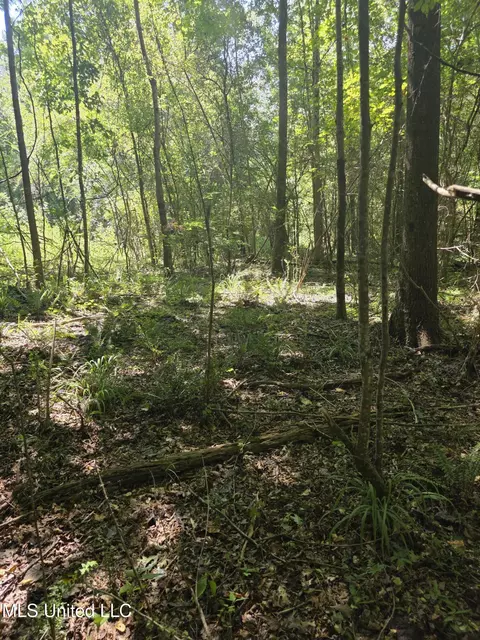 Tate Road, Natchez, MS 39120 photo 35