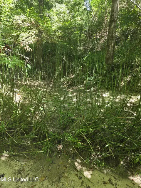 Tate Road, Natchez, MS 39120 photo 27