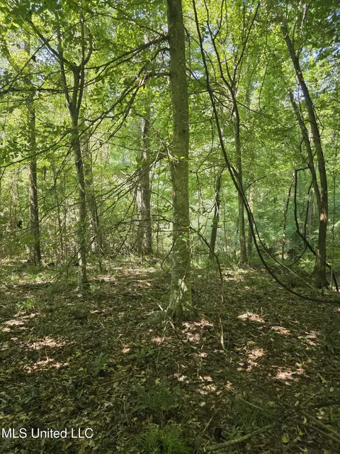 Tate Road, Natchez, MS 39120 photo 33