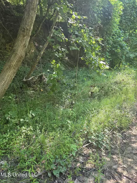 Tate Road, Natchez, MS 39120 photo 19
