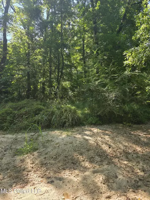Tate Road, Natchez, MS 39120 photo 9