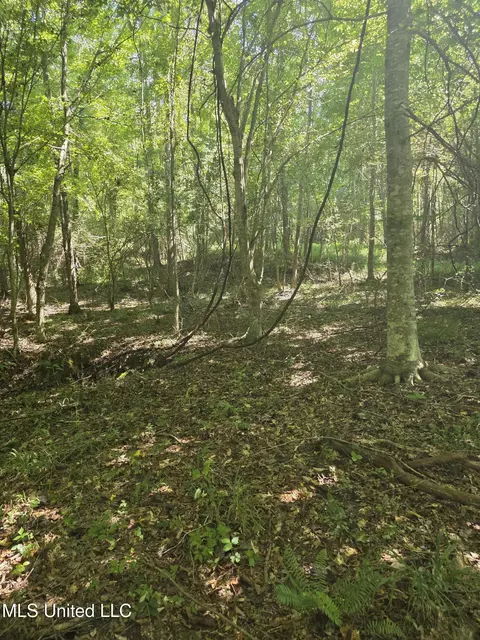 Tate Road, Natchez, MS 39120 photo 38