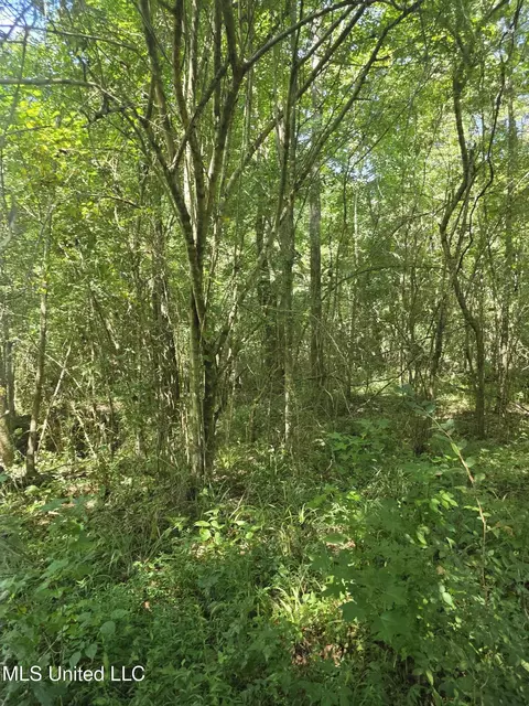 Tate Road, Natchez, MS 39120 photo 28