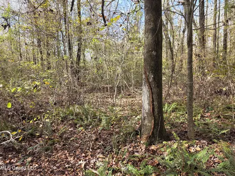 Tate Road, Natchez, MS 39120 photo 66