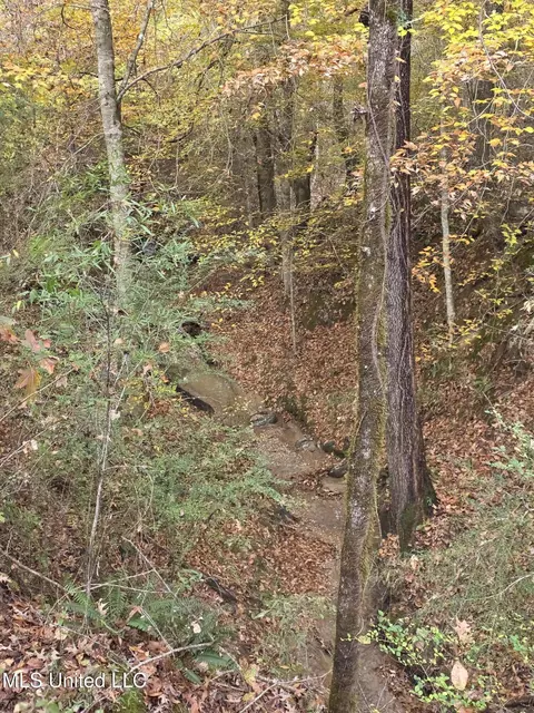 Tate Road, Natchez, MS 39120 photo 50