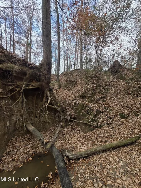 Tate Road, Natchez, MS 39120 photo 68