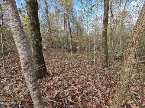 Tate Road, Natchez, MS 39120 photo 58