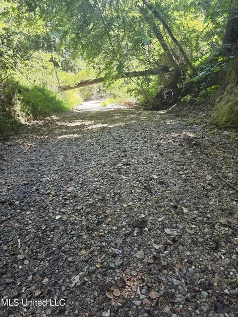 Tate Road, Natchez, MS 39120 photo 16