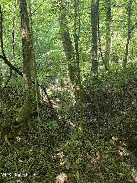 Tate Road, Natchez, MS 39120 photo 34