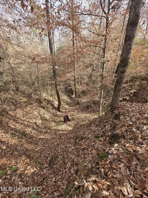 Tate Road, Natchez, MS 39120 photo 71