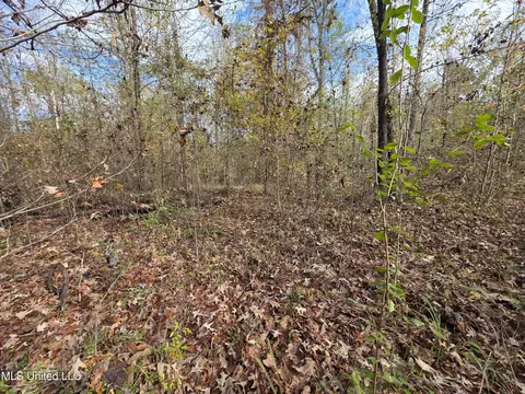 Tate Road, Natchez, MS 39120 photo 59