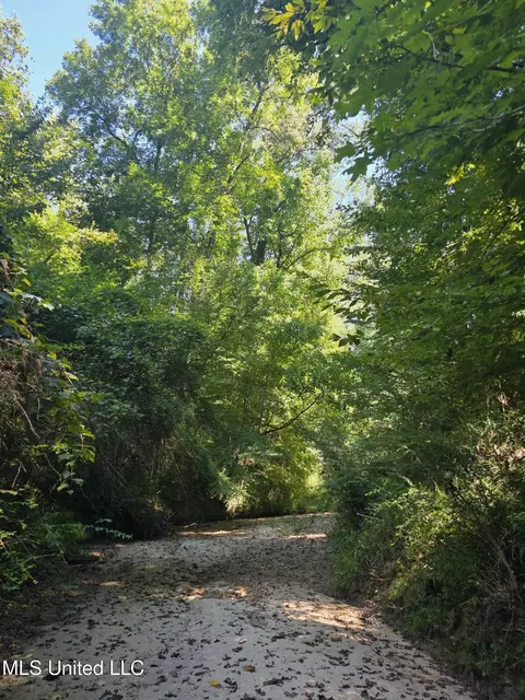 Tate Road, Natchez, MS 39120 photo 6
