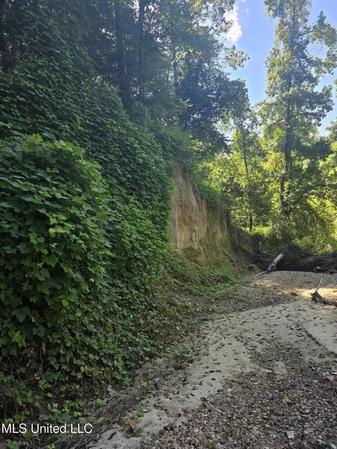 Tate Road, Natchez, MS 39120 photo 22