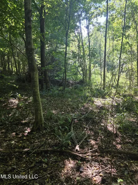 Tate Road, Natchez, MS 39120 photo 36