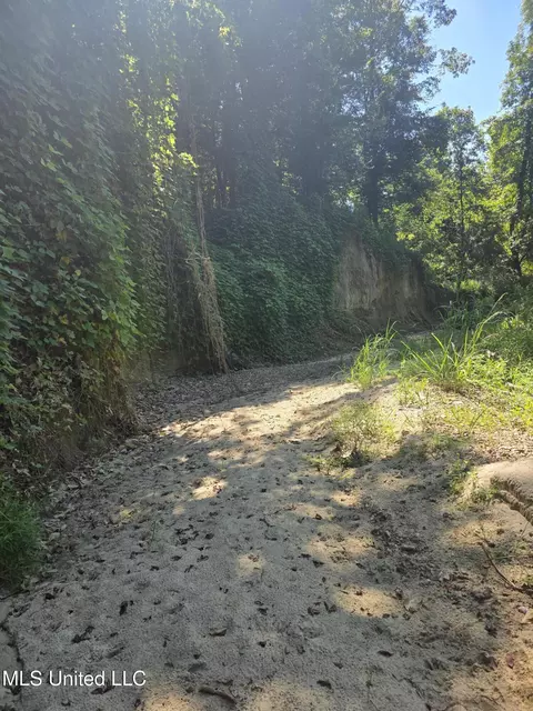 Tate Road, Natchez, MS 39120 photo 20