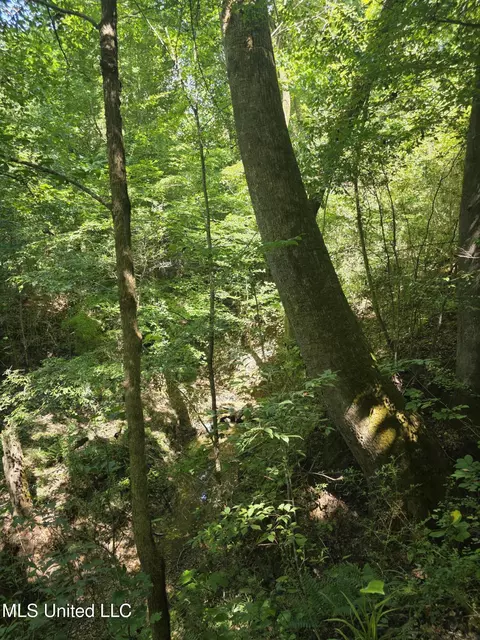 Tate Road, Natchez, MS 39120 photo 42
