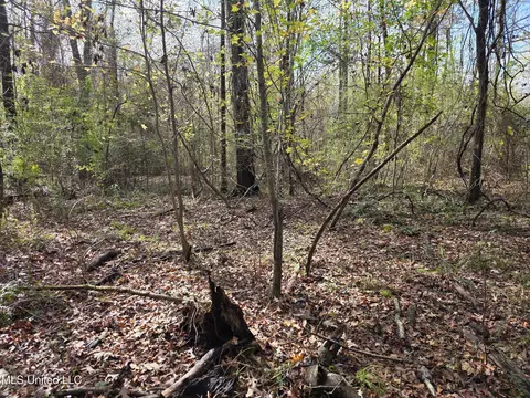 Tate Road, Natchez, MS 39120 photo 63