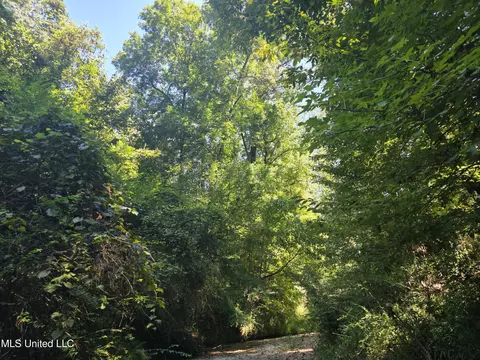 Tate Road, Natchez, MS 39120 photo 5