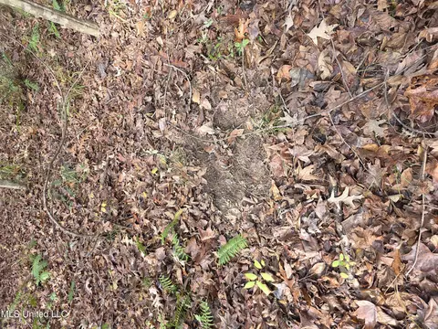 Tate Road, Natchez, MS 39120 photo 60