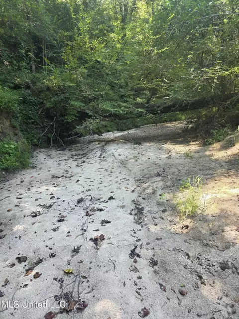 Tate Road, Natchez, MS 39120 photo 3