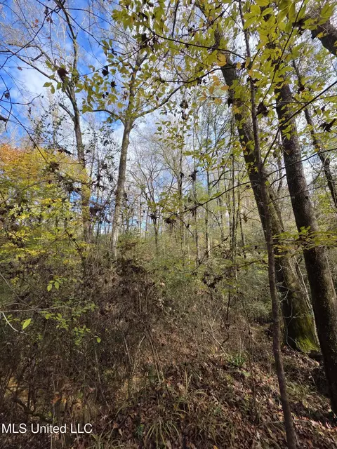 Tate Road, Natchez, MS 39120 photo 56