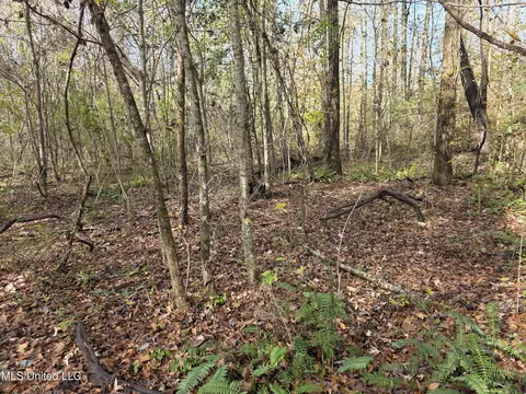 Tate Road, Natchez, MS 39120 photo 64