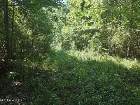 Tate Road, Natchez, MS 39120 photo 31