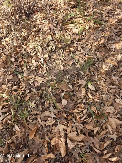 Tate Road, Natchez, MS 39120 photo 74