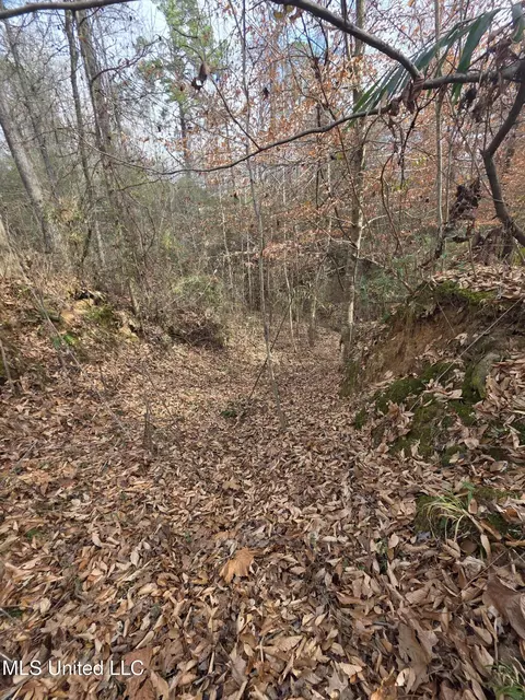 Tate Road, Natchez, MS 39120 photo 69