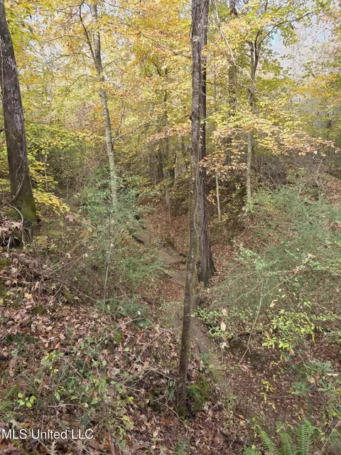 Tate Road, Natchez, MS 39120 photo 49