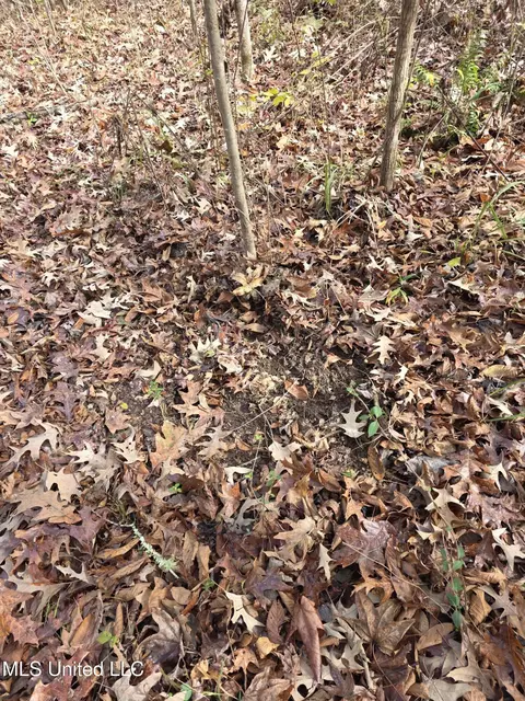 Tate Road, Natchez, MS 39120 photo 57