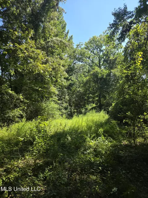 Tate Road, Natchez, MS 39120 photo 47