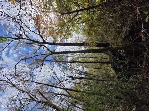 Tate Road, Natchez, MS 39120 photo 54