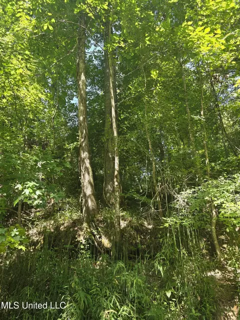 Tate Road, Natchez, MS 39120 photo 7