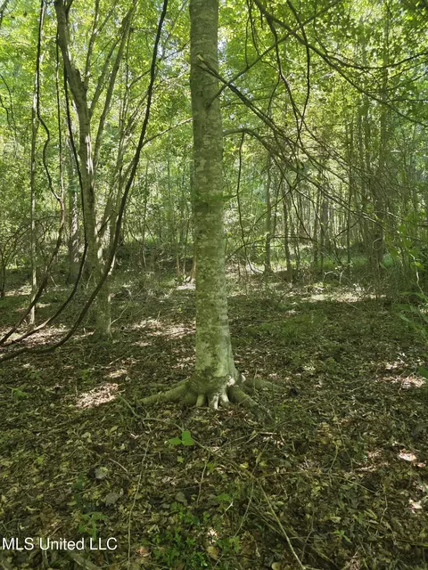 Tate Road, Natchez, MS 39120 photo 39