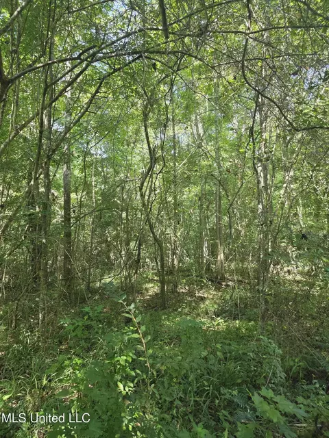 Tate Road, Natchez, MS 39120 photo 30