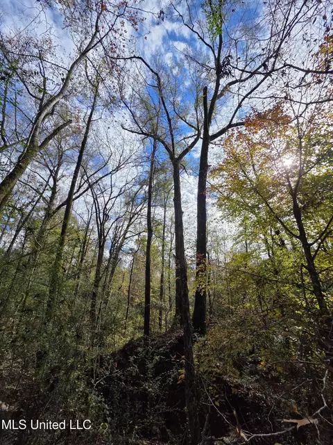 Tate Road, Natchez, MS 39120 photo 51