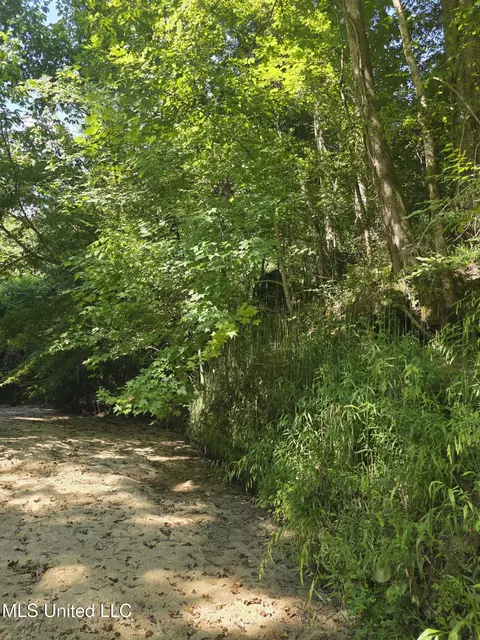 Tate Road, Natchez, MS 39120 photo 8