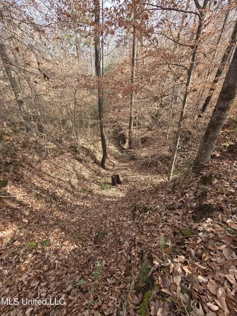 Tate Road, Natchez, MS 39120 photo 70