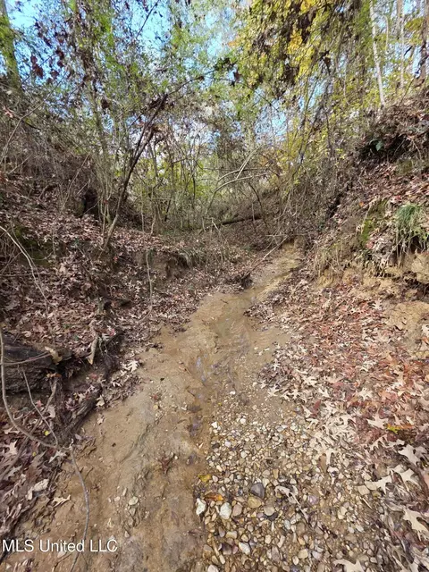 Tate Road, Natchez, MS 39120 photo 55