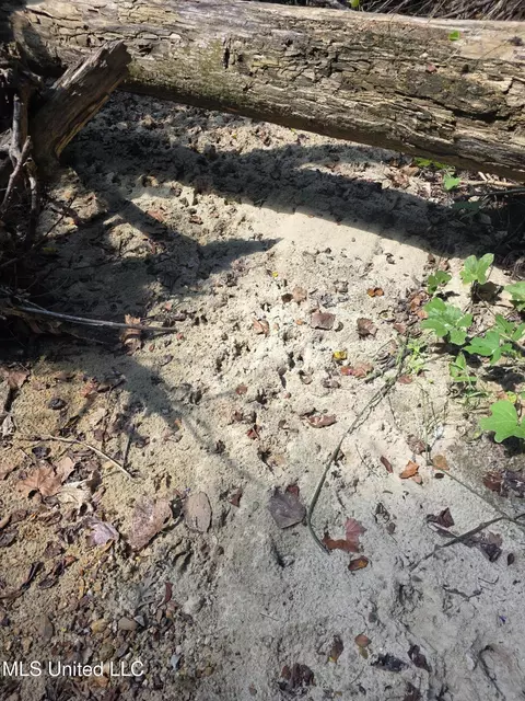 Tate Road, Natchez, MS 39120 photo 25