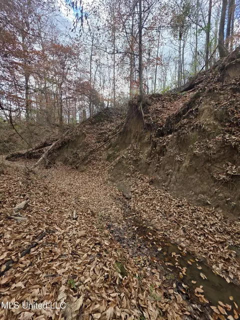 Tate Road, Natchez, MS 39120 photo 73