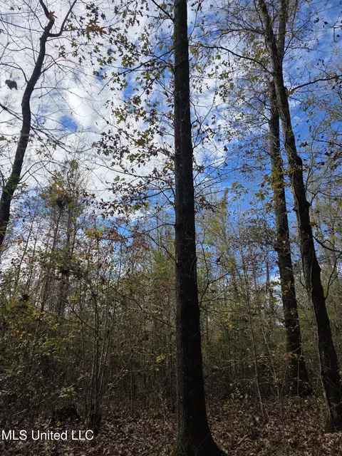 Tate Road, Natchez, MS 39120 photo 62