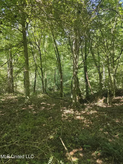 Tate Road, Natchez, MS 39120 photo 32