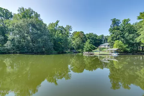 View/Area - 5344 Kahuna Cv, Hernando, MS 38632 photo 3 of 6