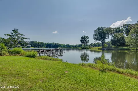 View/Area - 5344 Kahuna Cv, Hernando, MS 38632 photo 6 of 6